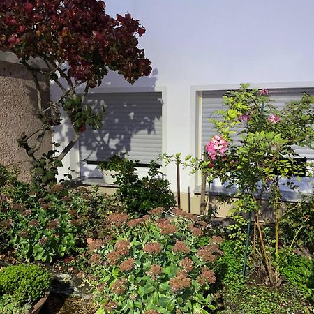 Moderne Souterrain-Oase In Top-Lage Bad Hersfeld Dış mekan fotoğraf